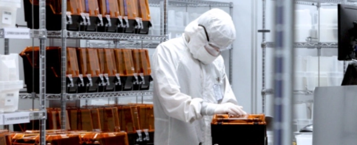 lab