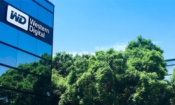 glass-building