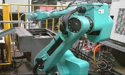 foxbot