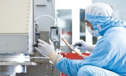lab