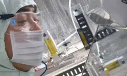 lab