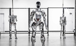 robots