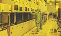 lab