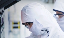 lab