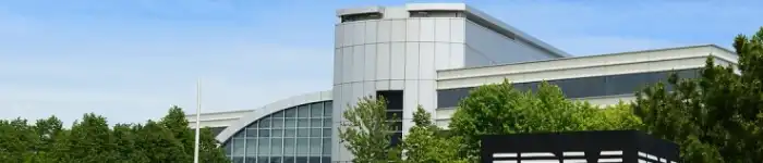 Wikipedia-IBM-2024