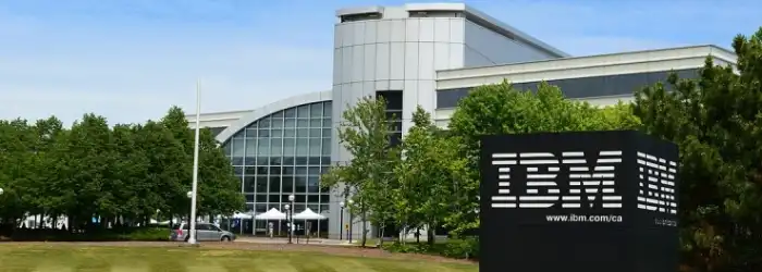 Wikipedia-IBM-2024
