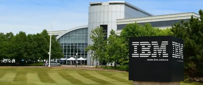 Wikipedia-IBM-2024