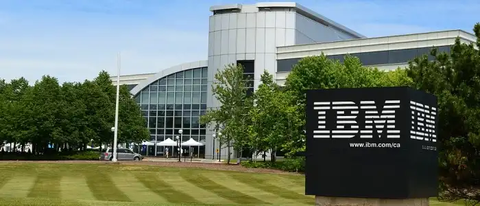 Wikipedia-IBM-2024